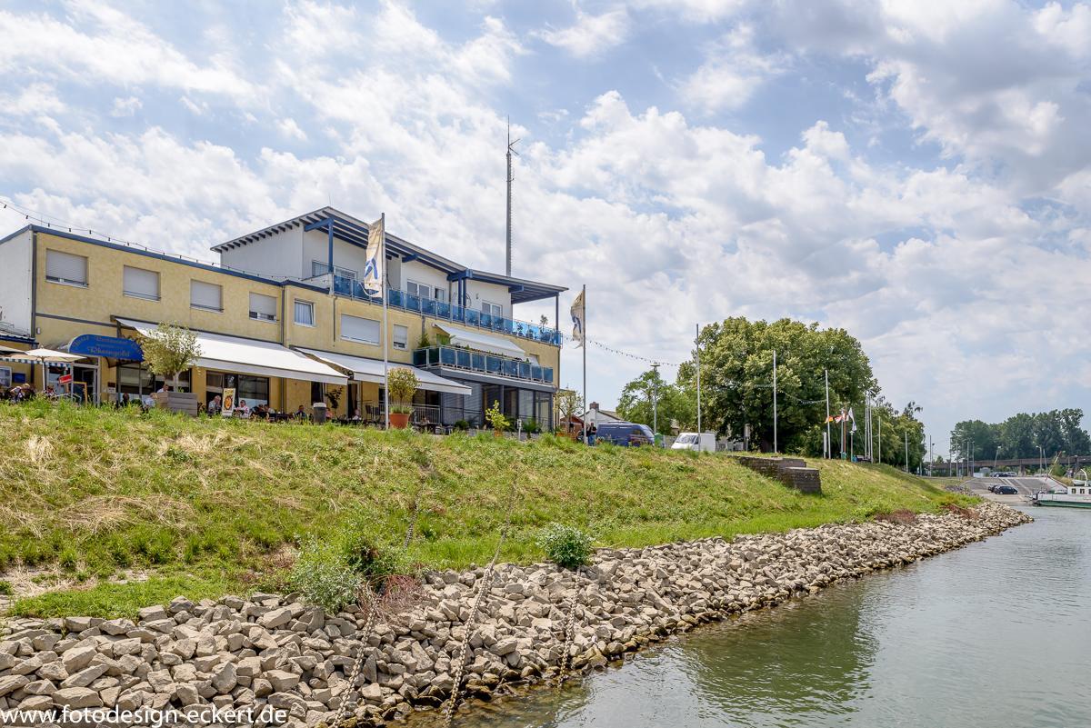 Hotel Rheingold Gernsheim Εξωτερικό φωτογραφία