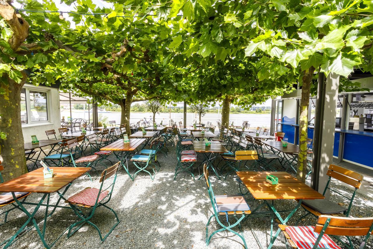 Hotel Rheingold Gernsheim Εξωτερικό φωτογραφία
