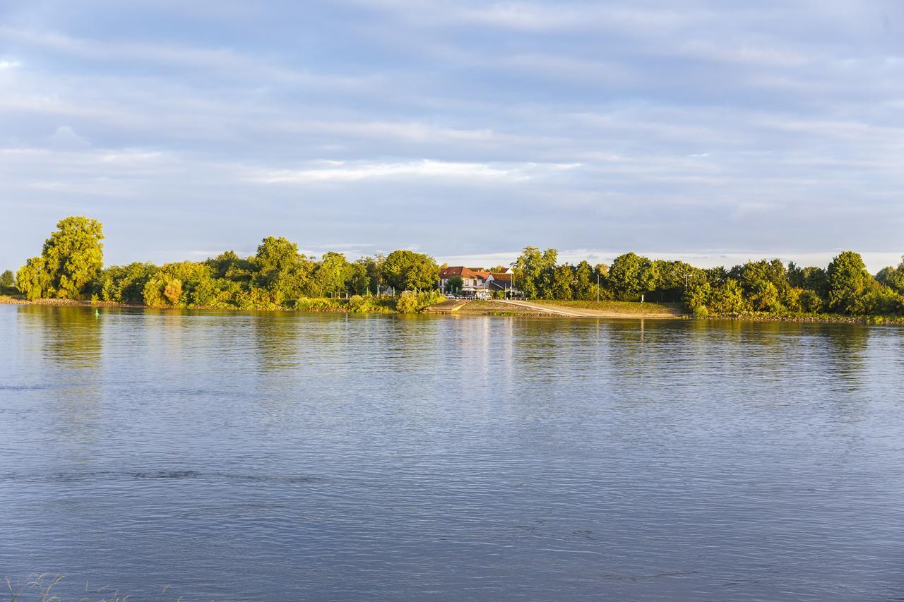Hotel Rheingold Gernsheim Εξωτερικό φωτογραφία